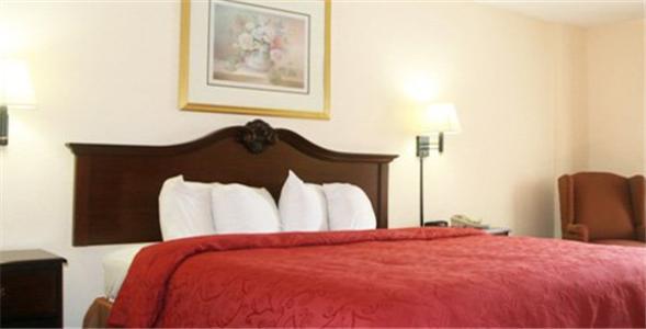 Cherry Lane Motor Inn Amish Country 롱크스 객실 사진