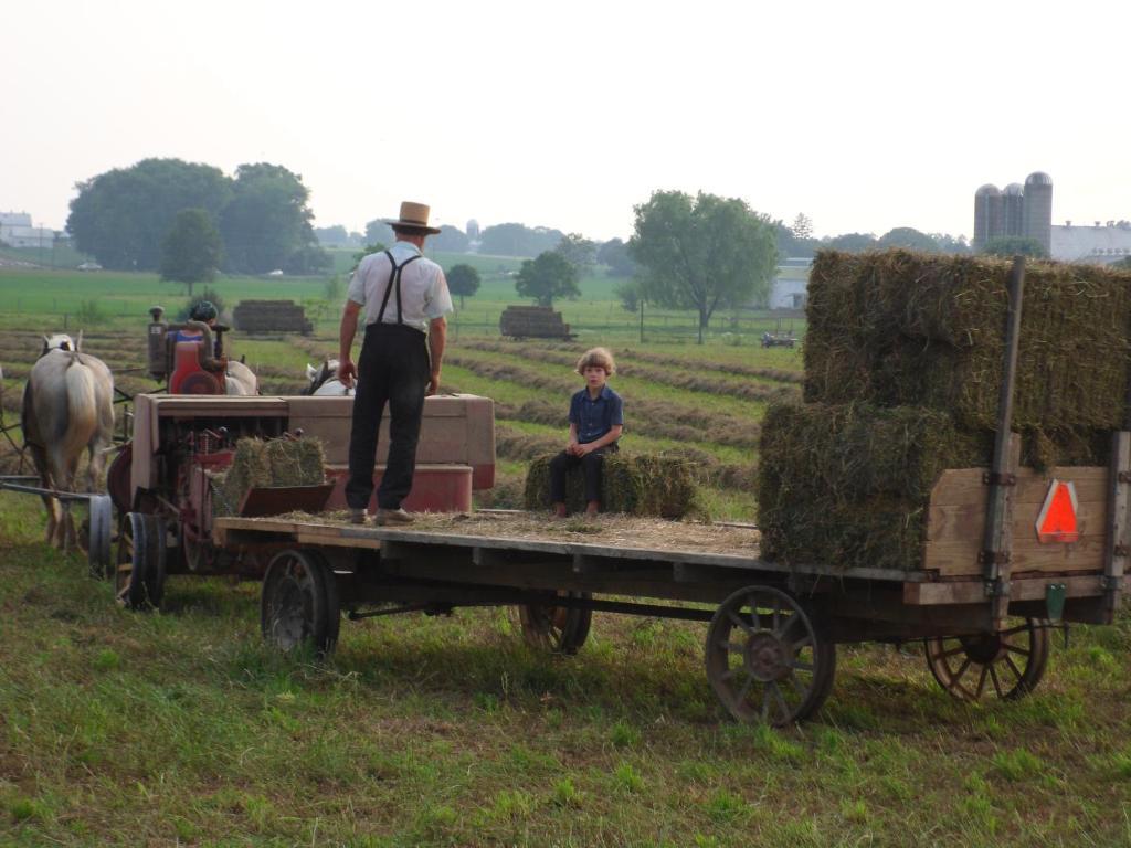 Cherry Lane Motor Inn Amish Country 롱크스 외부 사진